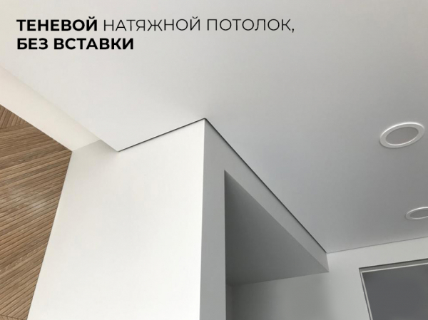 Магнитные трековые системы